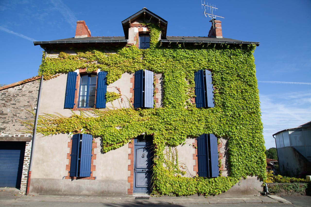 savoir le prix moyen pour la rénovation d'une maison ancienne 